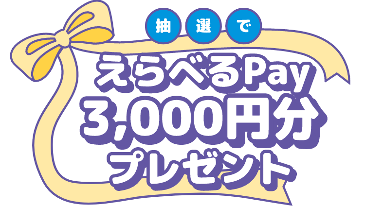 抽選でえらべるPay3,000円分プレゼント