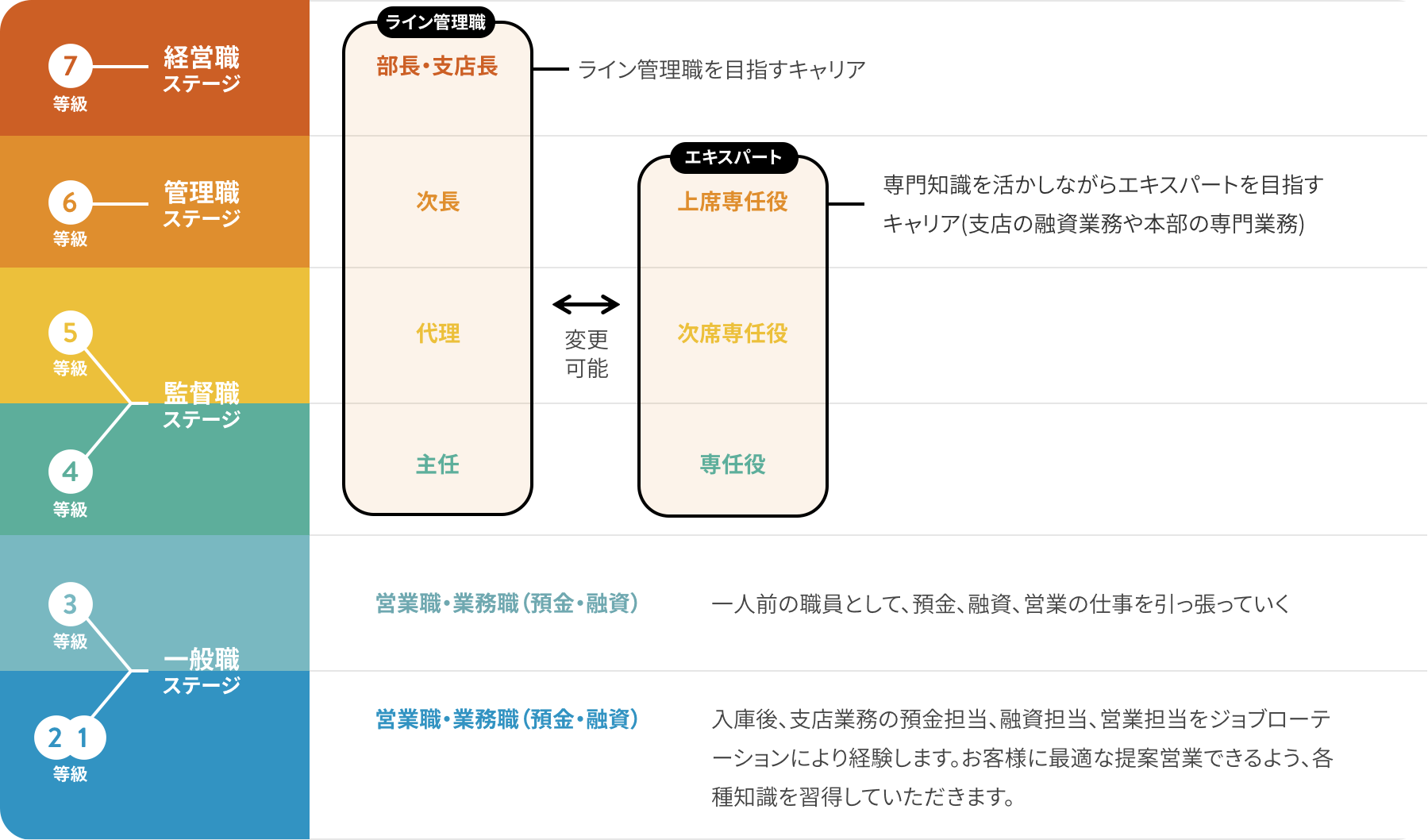 等級制度